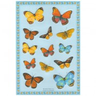 Наклейки  Stickers STRR-016 "Бабочки" рельефные, объемные 185х270мм