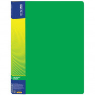 Папка на  20 файлов Economix 30602-04 зеленая, пластик 600мкм