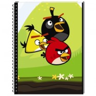 Тетрадь  на спир. A5  80л Interdruk "Angry Birds" верт., клетка, микроперф.,2 отвер., 4 дизайна
