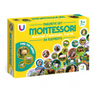 Магниты Dodo Montessori "Семьи животных: ферма" игровой набор 36 магнитов, от 1 игрока, 200271