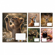 Тетрадь A5 24л клетка 1 Вересня "Wildlife is beautiful", 5 дизайнов ассорти