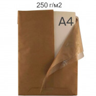 Ватман A4 250гр. Maestro Print  1 лист, 210 х 297 мм