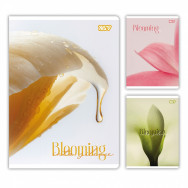Тетрадь A4  48л клетка YES "Blooming" офсет 60г/м2, обложка ассорти, 152388